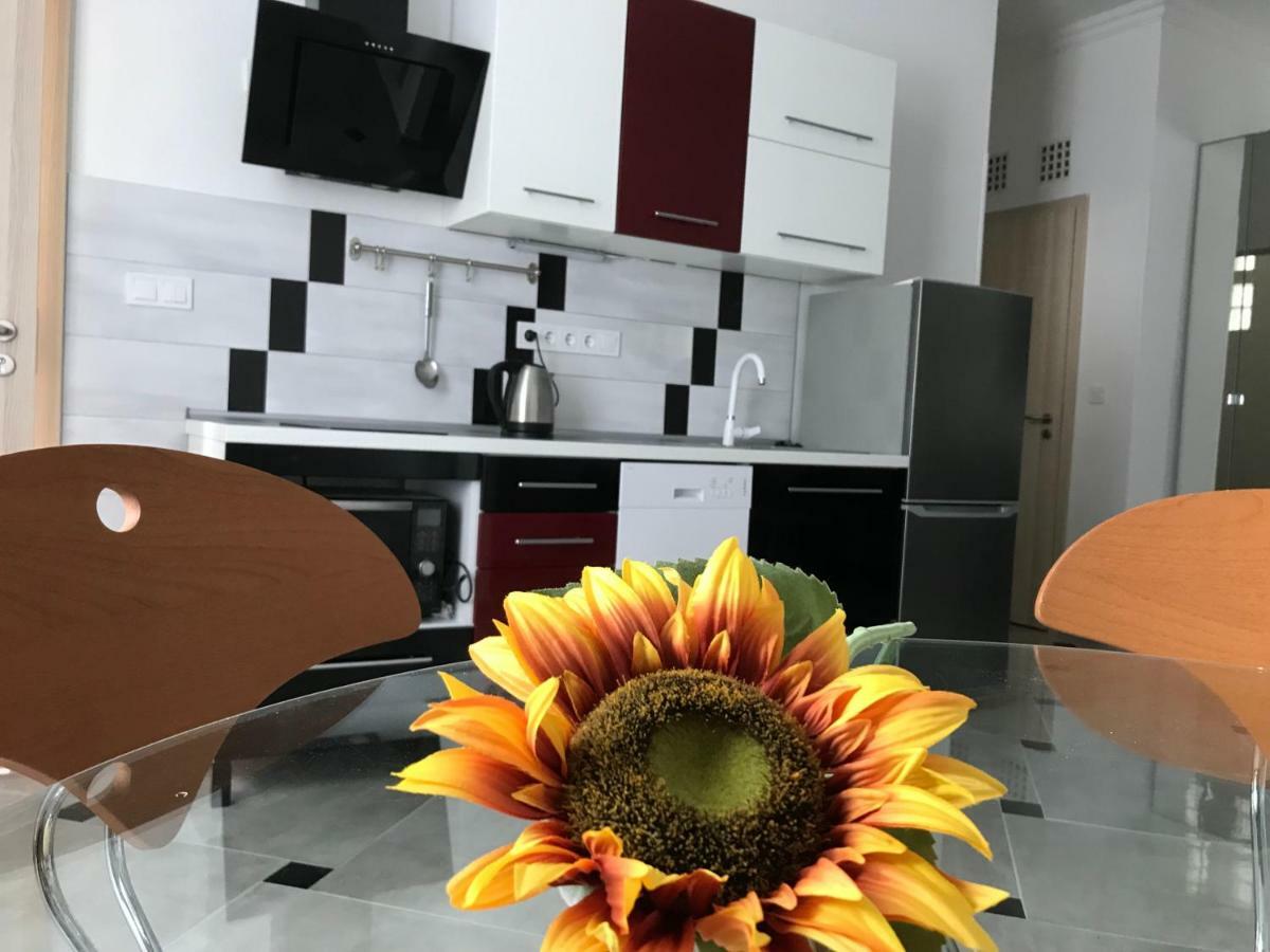 Apartament Sunflowers